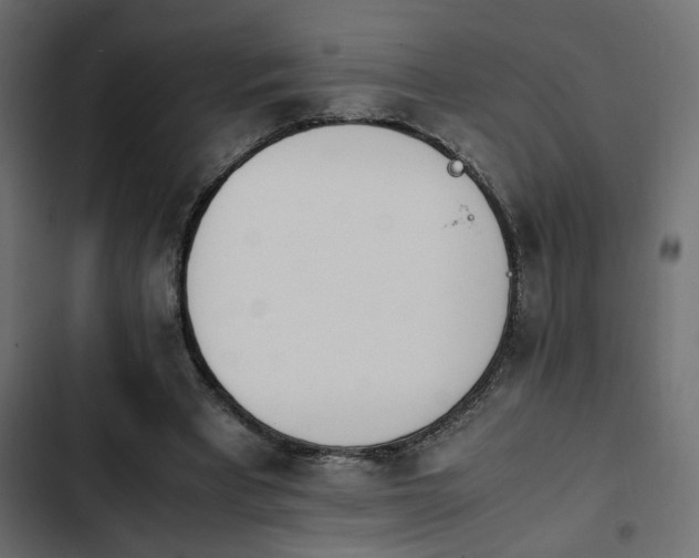 X0000103940393200809261730