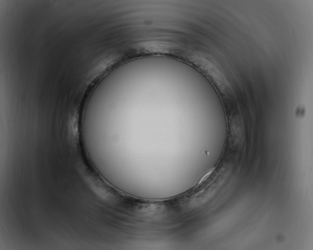 X0000103940398200809261730