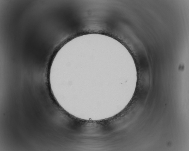 X0000103940399200809261730