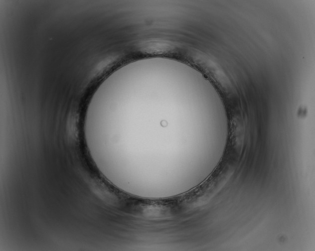 X0000103940400200809261730