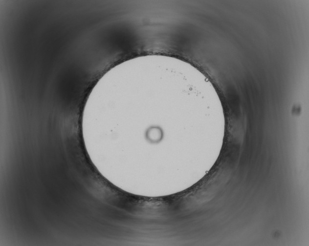 X0000103940401200809261730