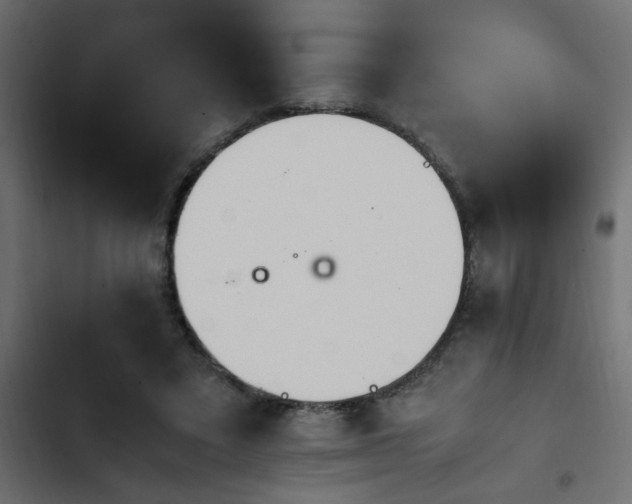 X0000103940403200809261730