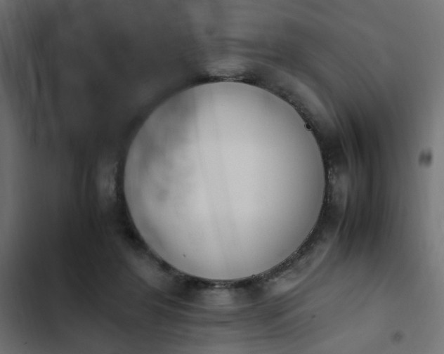 X0000103940404200809261730