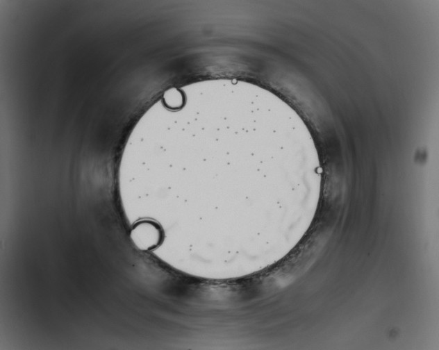 X0000103940405200809261730