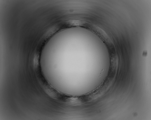 X0000103940406200809261730