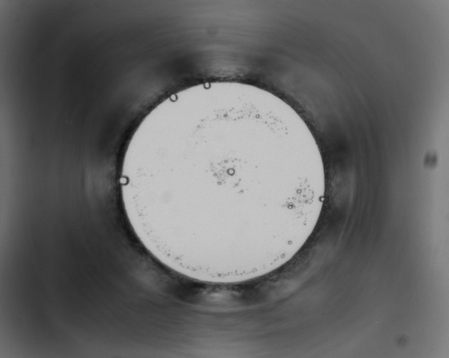 X0000103940407200809261730