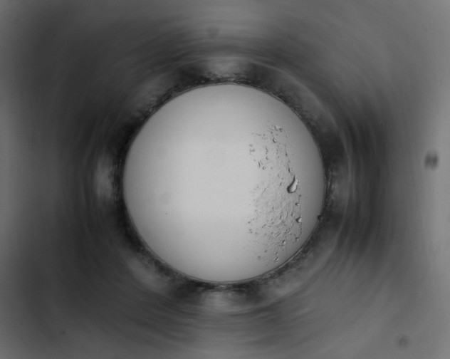 X0000103940408200809261730