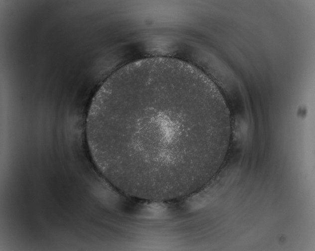 X0000103940409200809261730