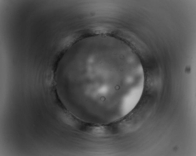 X0000103940411200809261730