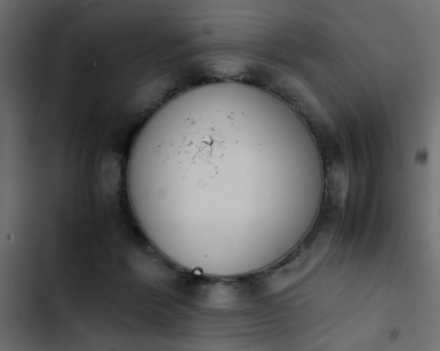 X0000103940412200809261730