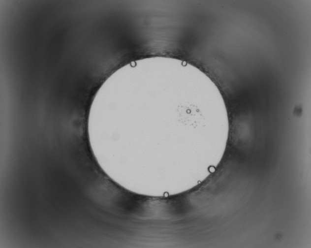 X0000103940413200809261730