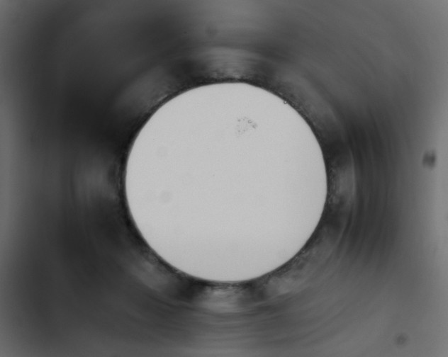 X0000103940414200809261730