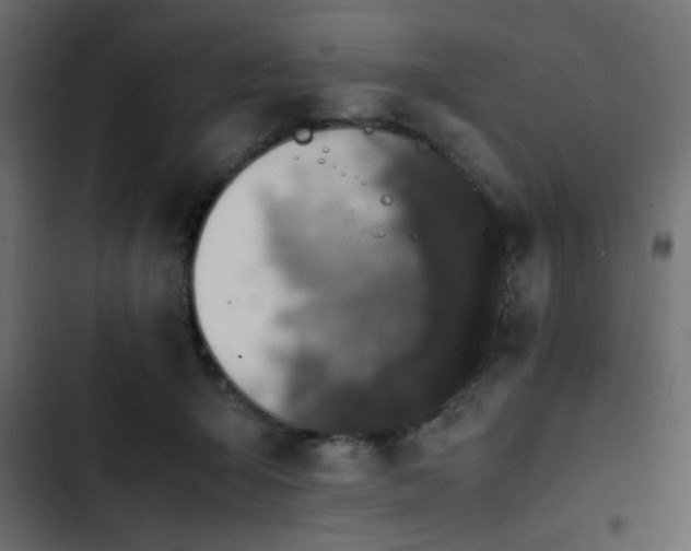 X0000103940415200809261730