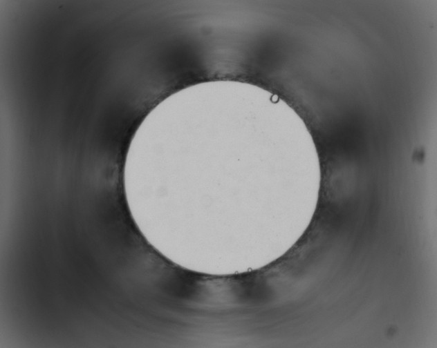 X0000103940417200809261730