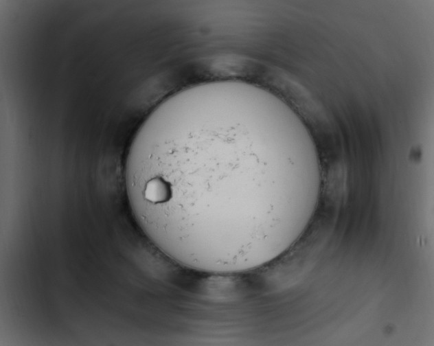 X0000103940418200809261730