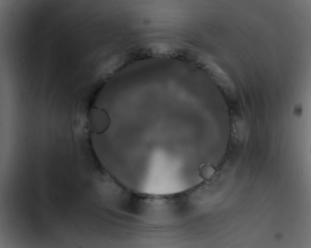 X0000103940419200809261730