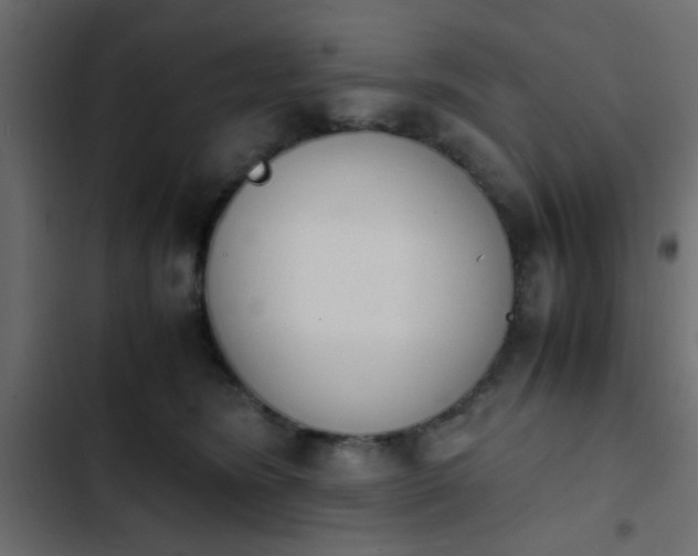 X0000103940420200809261729