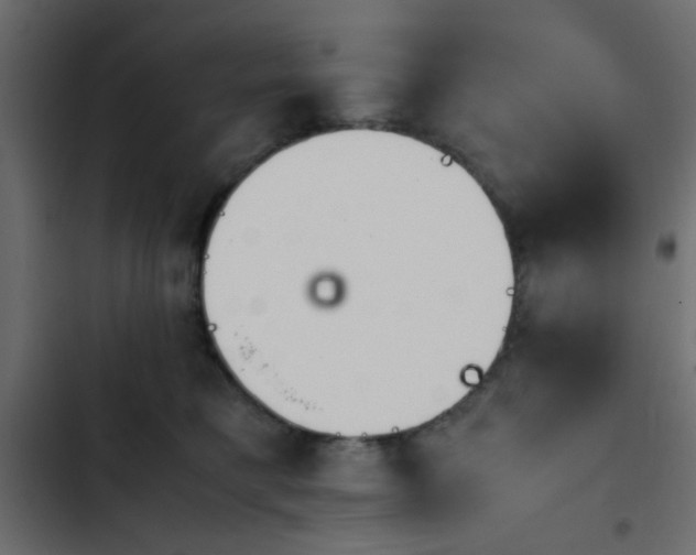 X0000103940421200809261729