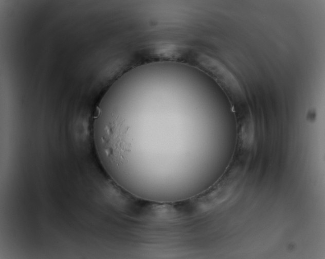 X0000103940424200809261729