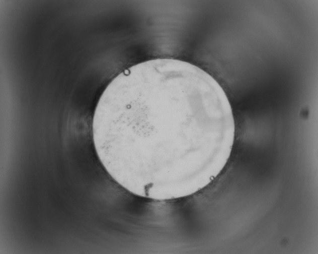 X0000103940425200809261729