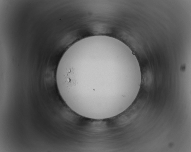 X0000103940426200809261729