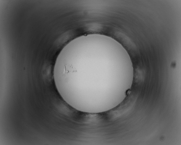 X0000103940428200809261729