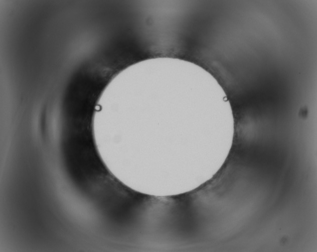 X0000103940429200809261729