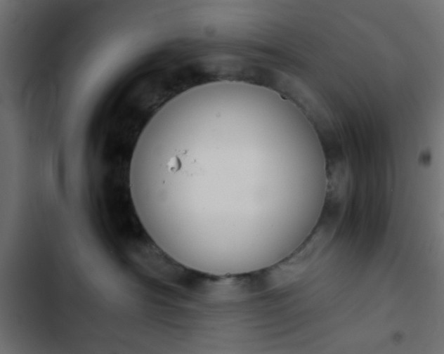 X0000103940430200809261729