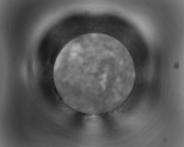 X0000103940431200809261729