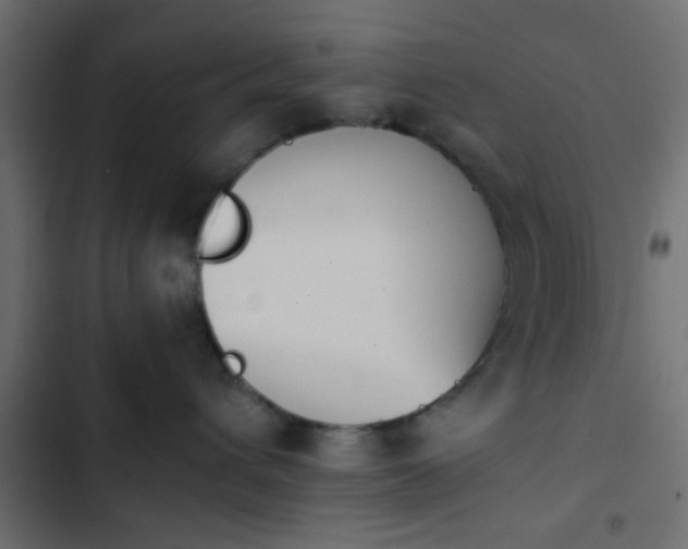 X0000103940432200809261729