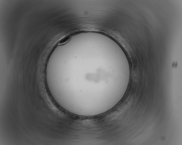 X0000103940433200809261729