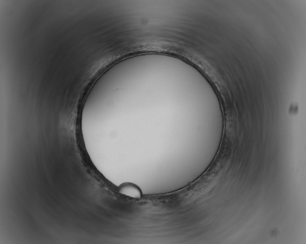 X0000103940434200809261729