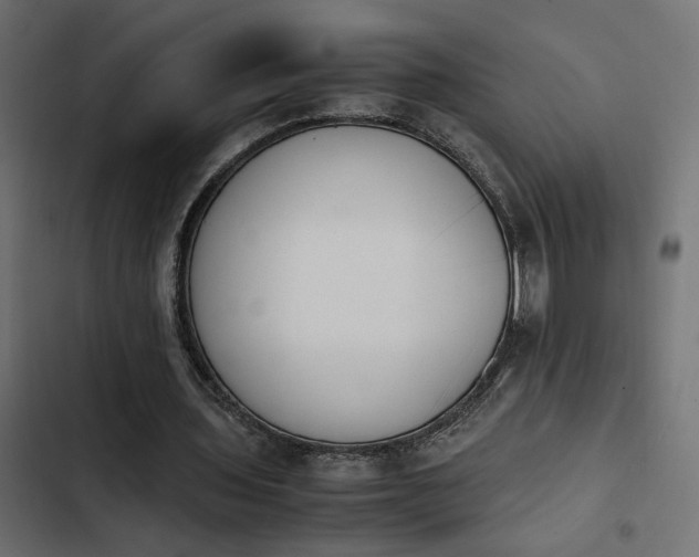 X0000103940435200809261729