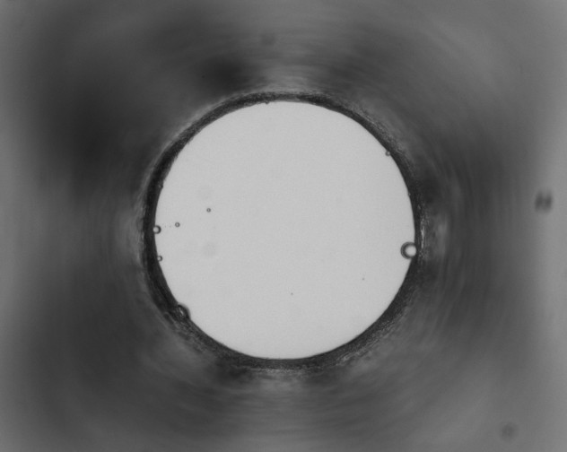 X0000103940436200809261729