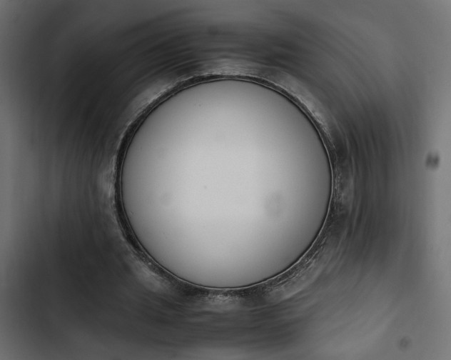 X0000103940437200809261729