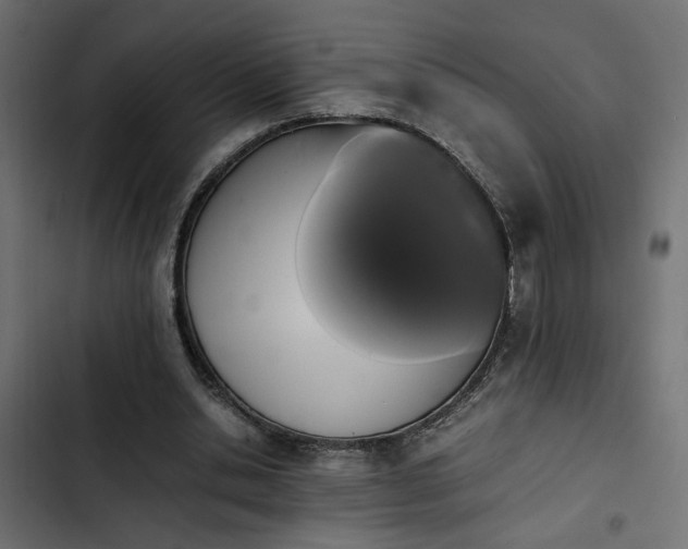 X0000103940438200809261729