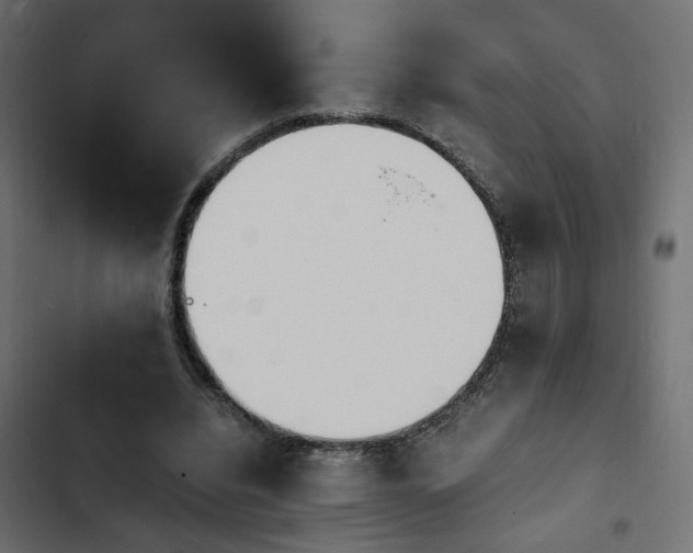 X0000103940440200809261729