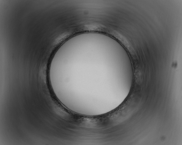 X0000103940442200809261729