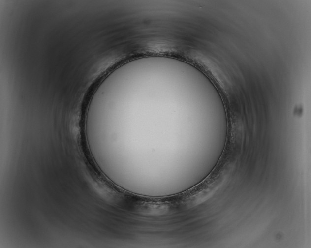 X0000103940443200809261729