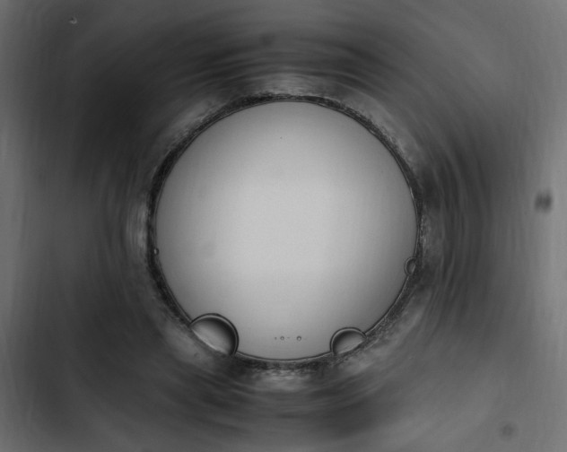 X0000103940445200809261729