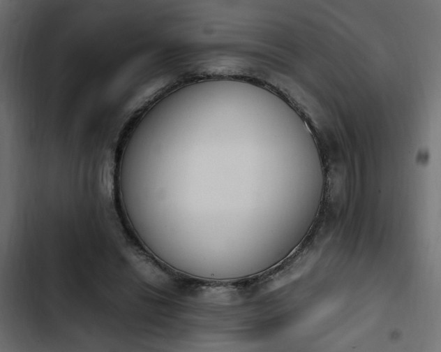 X0000103940446200809261729