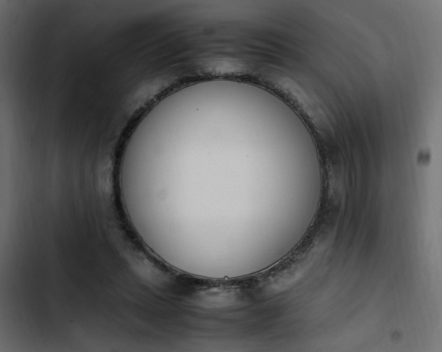 X0000103940447200809261729