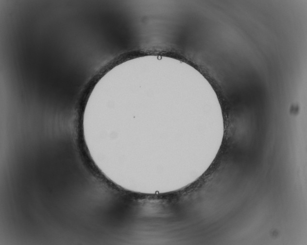 X0000103940448200809261729