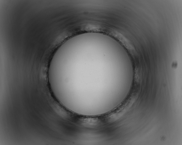 X0000103940449200809261729