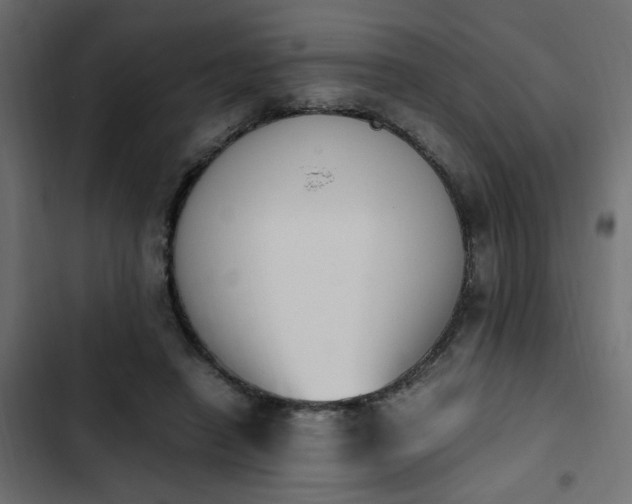 X0000103940450200809261729