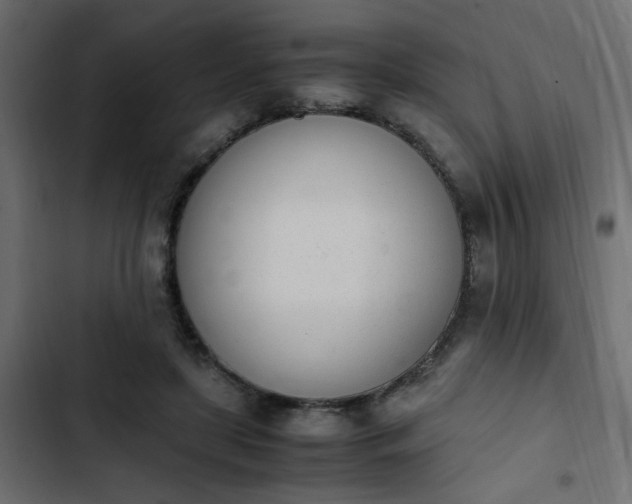 X0000103940451200809261729