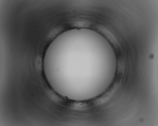 X0000103940453200809261729