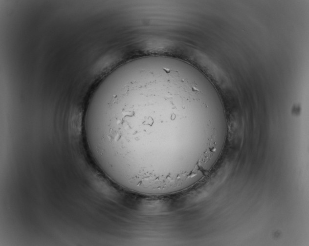 X0000103940454200809261729