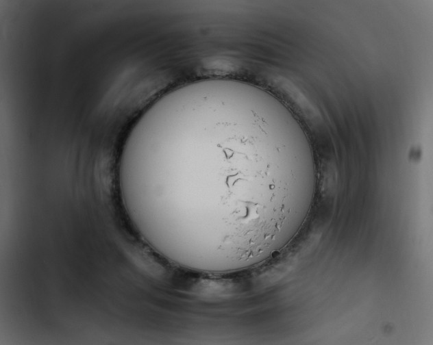 X0000103940455200809261729