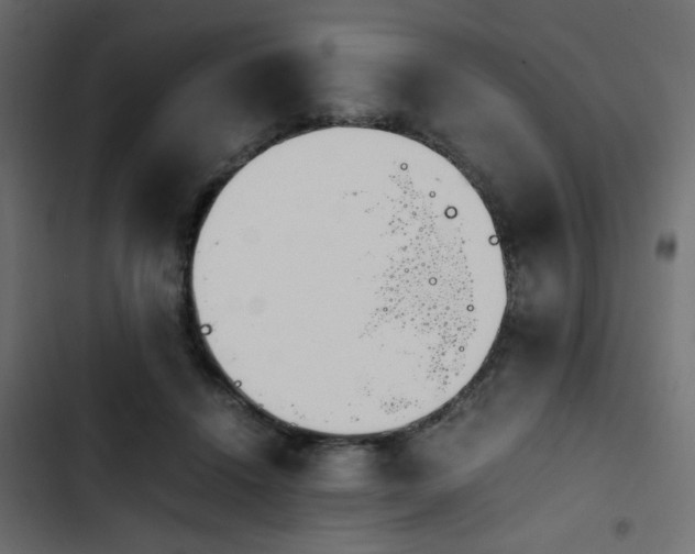 X0000103940456200809261729